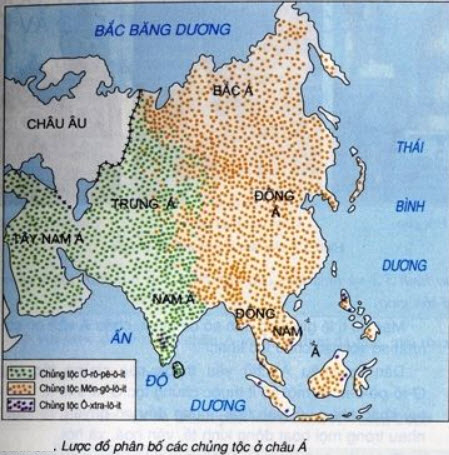 Chủng tộc chủ yếu ở Đông Nam Á là Môn-gô-lô-it và Ô-xtra-lô-it.  