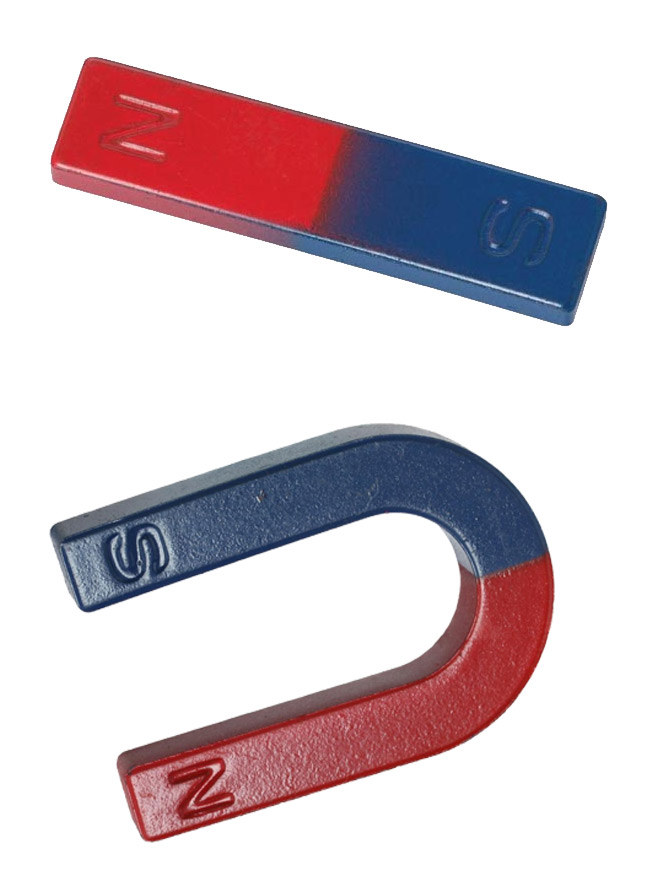 Nam cham vinh cuu co hai cuc