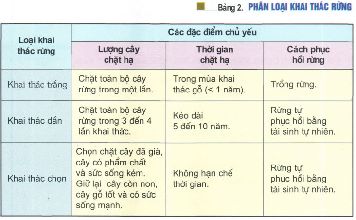 Bảng phân loại khai thác rừng SGK Công nghệ 7 (cũ)