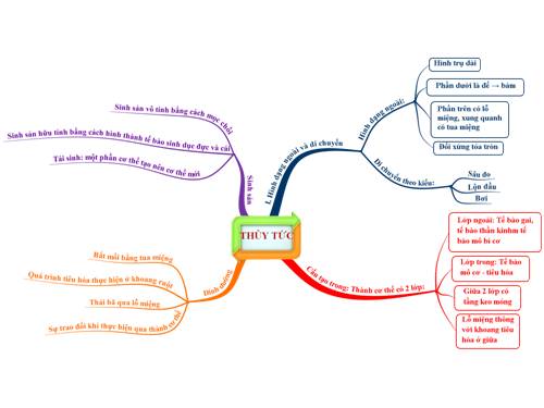 Đặc điểm của thủy tức