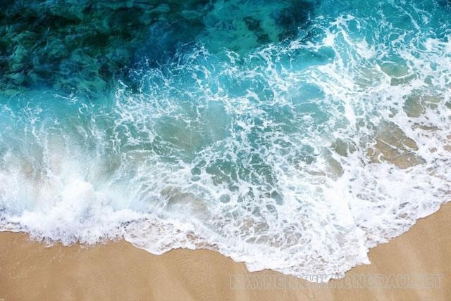 Sóng biển là hình thức dao động tại chỗ của nước biển và đại dương
