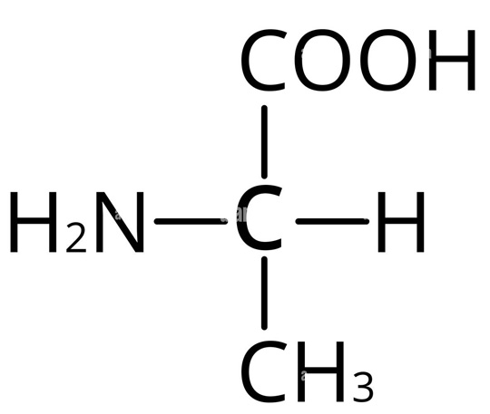 Công thức cấu tạo phân tử của alanin