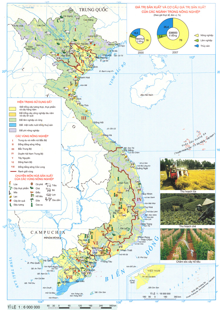 Vùng trồng cây ăn quả lớn nhất của nước ta là vùng Đồng bằng sông Cửu Long và Đông Nam Bộ