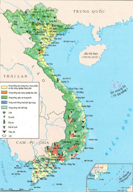 Căn cứ Atlat Địa lí Việt Nam trang 18, 19 cho biết lợn được nuôi nhiều nhất ở vùng nào