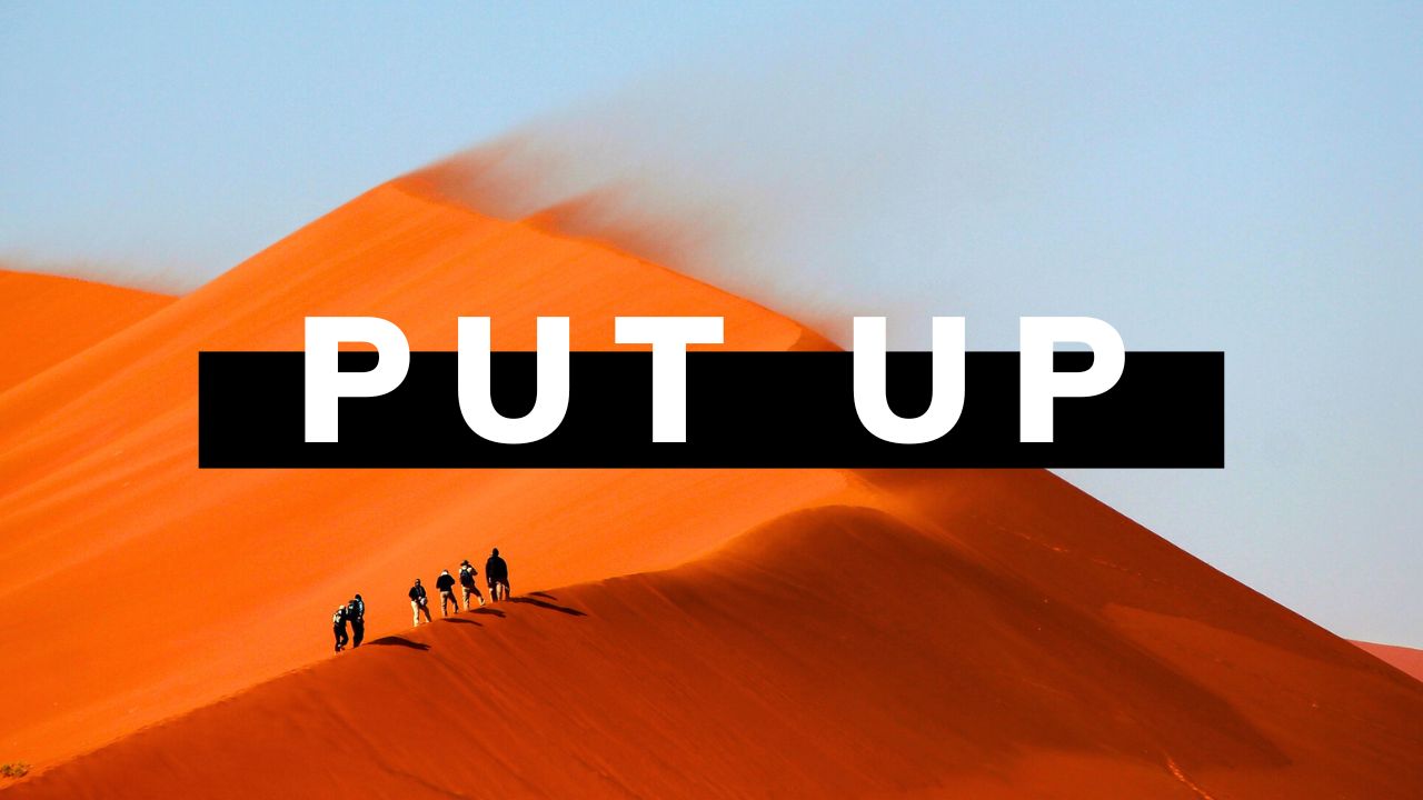 Put up là gì? Cấu trúc và ví dụ minh họa