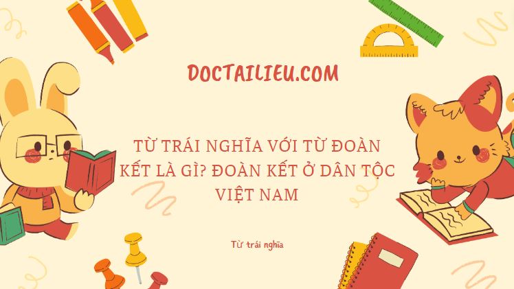 Từ trái nghĩa với từ đoàn kết là gì? Đoàn kết ở dân tộc Việt Nam