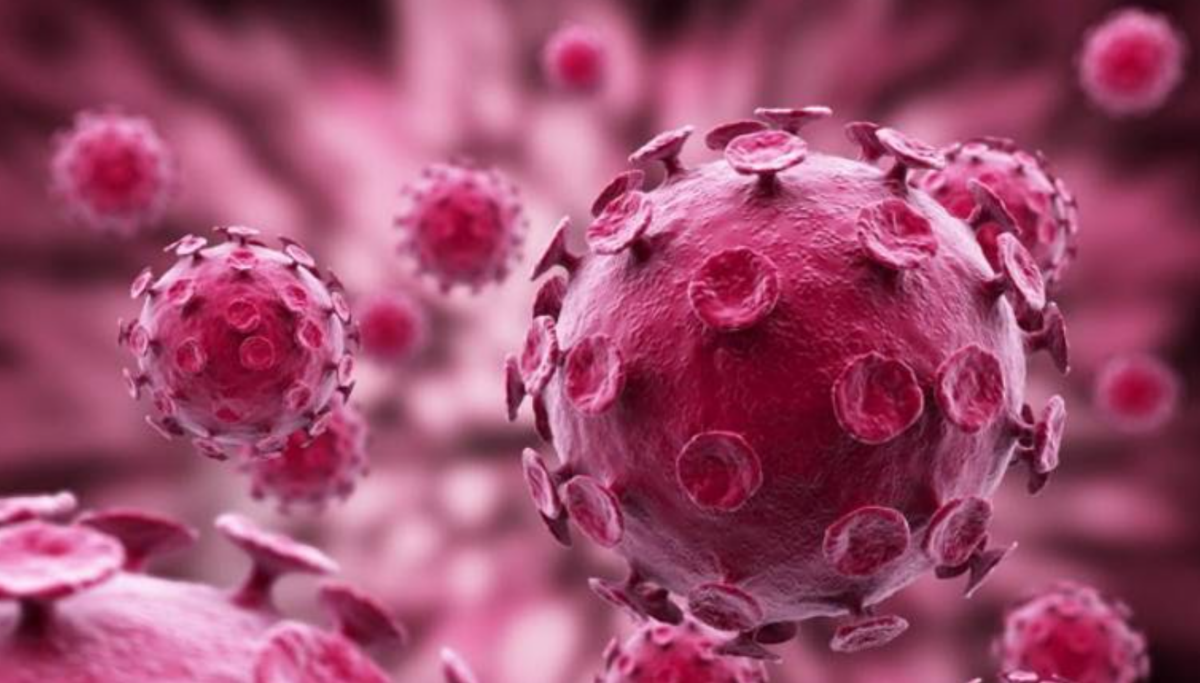 Virus HPV là gì?