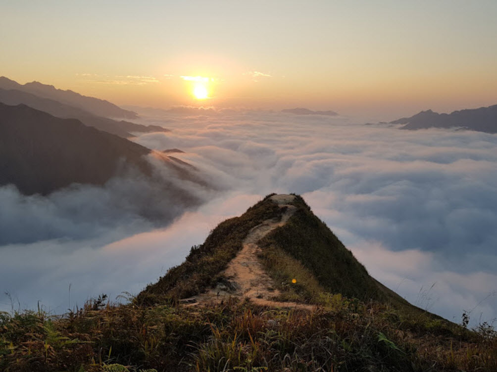 sống lưng khủng long