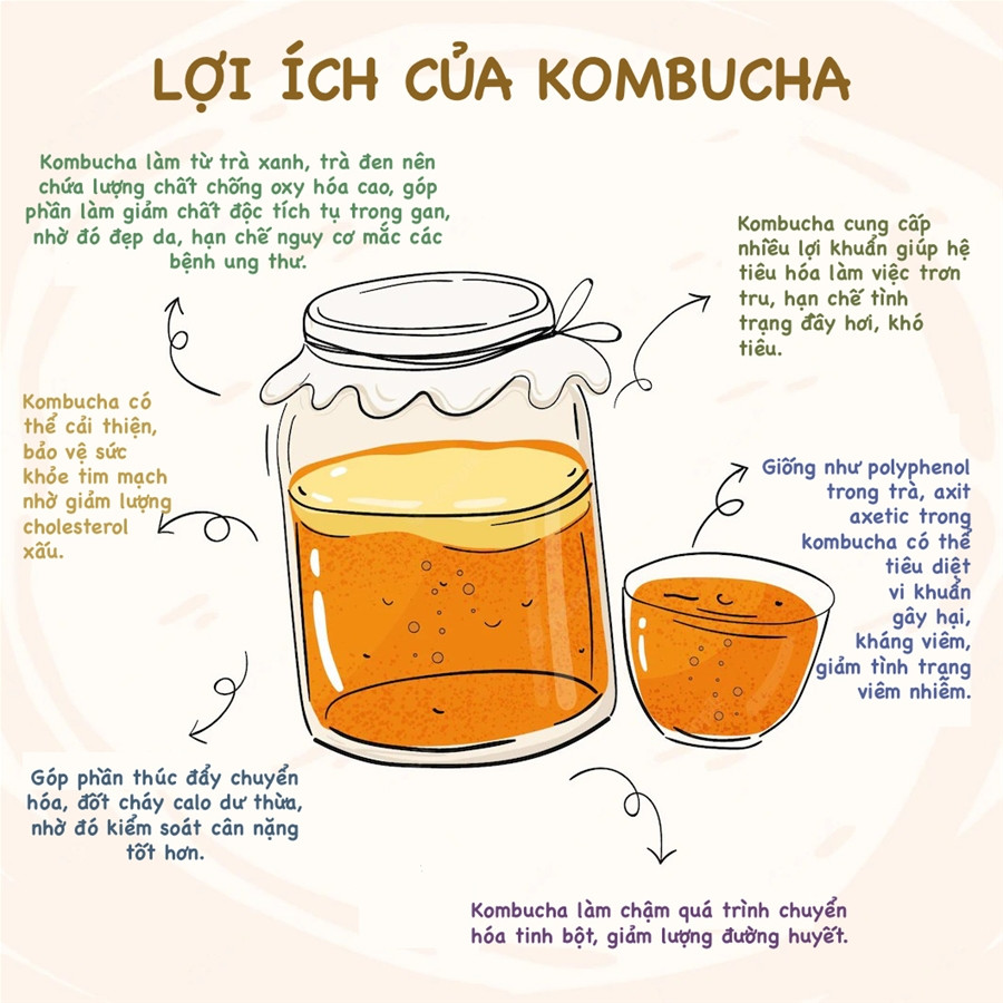 Lợi ích của trà Kombucha