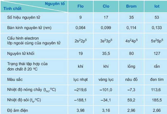 Đặc điểm của các nguyên tố nhóm Halogen