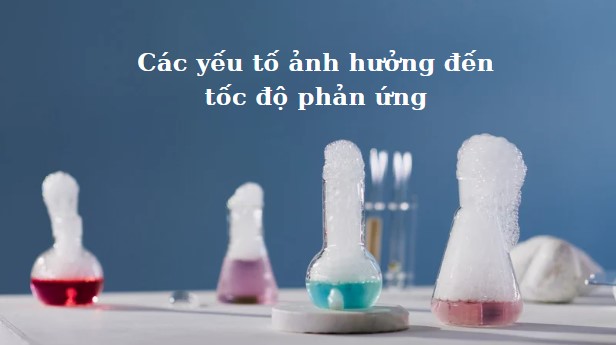 Các yếu tố ảnh hưởng đến tốc độ phản ứng