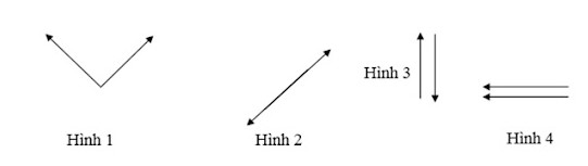 Bài tập về lực cân bằng - Bài 5