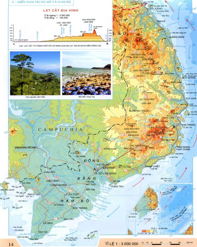 Đặc điểm sinh vật miền Nam Trung Bộ và Nam Bộ