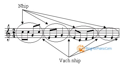 Nhịp là gì?