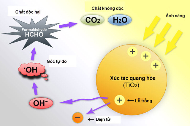 Cơ chế quang xúc tác của TiO2 ứng dụng trong khử khuẩn