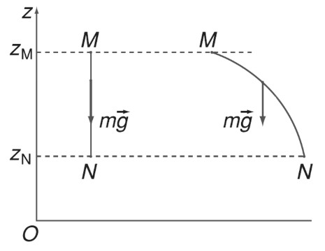 Mối quan hệ giữa biến thiên thế năng và công của trọng lực