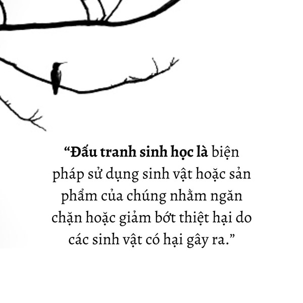 Đấu tranh sinh học là gì?