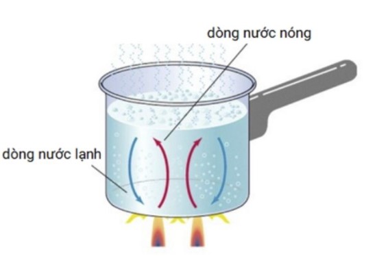Ví dụ về sự đối lưu khi đun nước