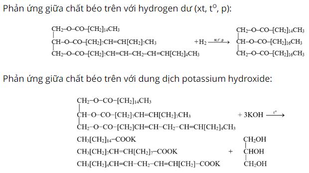 Phương trình hóa học giữa chất béo với hydrogen dư